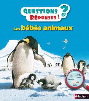 Cover of the book Les bébés animaux - Questions/Réponses - doc dès 5 ans by Béatrice Nicodème
