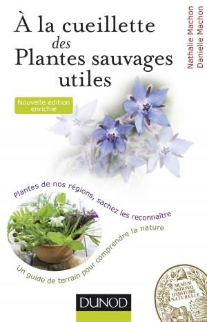 Cover of the book À la cueillette des plantes sauvages utiles - 2e édition by Franck Ernould