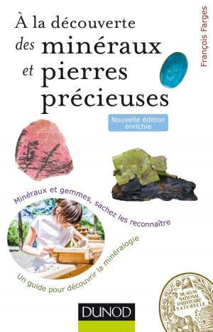 Cover of the book À la découverte des minéraux et pierres précieuses - 2ed. by Pierre Mongin, Fabienne de Broeck