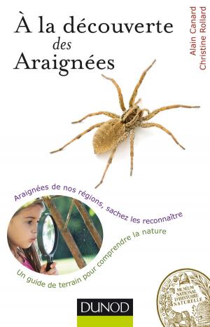 Cover of the book A la découverte des Araignées by Alain Cayzac, Guillaume Evin