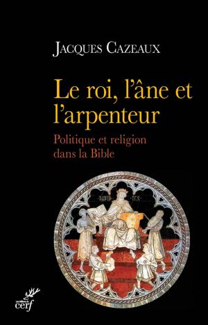 Cover of the book Le roi, l'âne et l'arpenteur by David Hamidovic