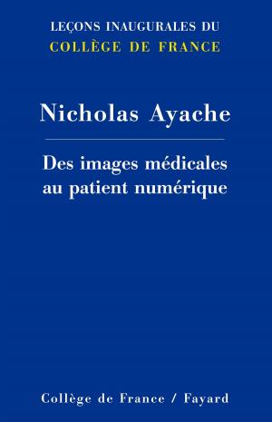 Cover of the book Des images médicales au patient numérique by Jean Delumeau, Azzedine Guellouz