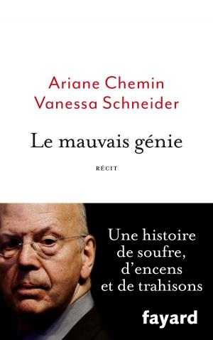 Cover of the book Le mauvais génie by Jean Vautrin