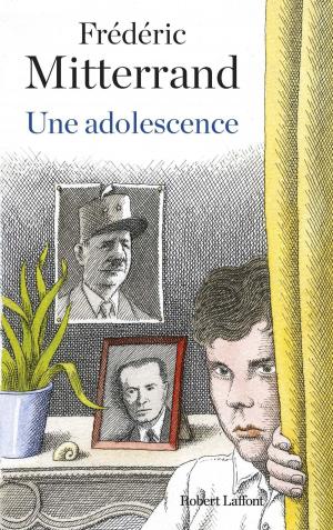 Cover of the book Une adolescence by Fabrice DROUELLE, Marc DUGAIN