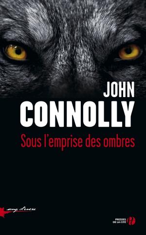 Book cover of Sous l'emprise des ombres