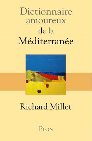 Book cover of Dictionnaire amoureux de la Méditerranée