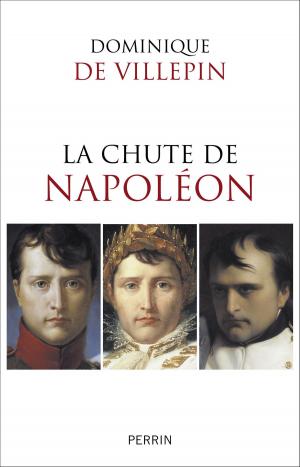 Book cover of La chute de Napoléon