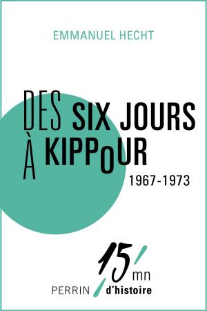 Cover of the book Des Six Jours (1967) à Kippour (1973) by Marylène PATOU-MATHIS