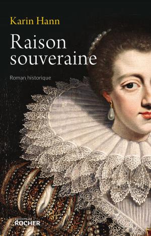 Cover of the book Raison souveraine by Michel Lebel