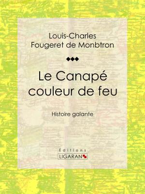 Cover of the book Le Canapé couleur de feu by Fulgence Marion, Ligaran