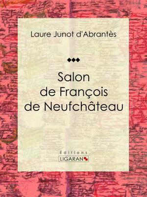 Cover of the book Salon de François de Neufchâteau by Théophile Marion Dumersan, Ligaran