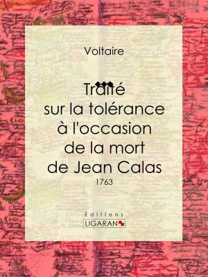 Book cover of Traité sur la tolérance à l'occasion de la mort de Jean Calas