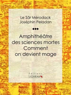 Cover of the book Amphithéâtre des sciences mortes. Comment on devient mage by Voltaire, Louis Moland, Ligaran