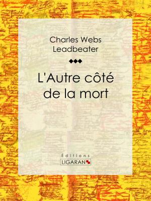 Cover of the book L'Autre côté de la mort by Alfred de Vigny, Ligaran