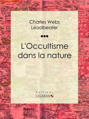Cover of the book L'occultisme dans la nature by Philibert Audebrand, Ligaran