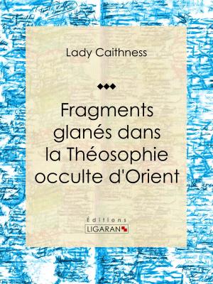 Cover of the book Fragments glanés dans la Théosophie occulte d'Orient by Albert Cler, Ligaran
