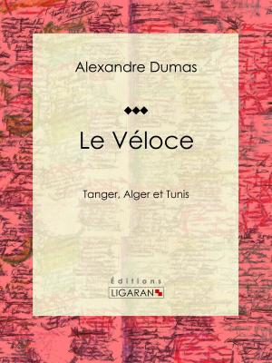 Cover of the book Le Véloce by Xavier Marmier, Ligaran