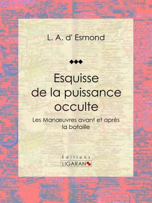 Cover of the book Esquisse de la puissance occulte by Gabriel de La Landelle, Ligaran