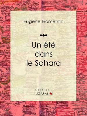 Cover of the book Un été dans le Sahara by Auguste Lepage, Ligaran
