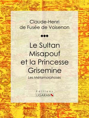 Cover of the book Le Sultan Misapouf et la Princesse Grisemine by Louis Lurine, Philippe Bouvier, Ligaran