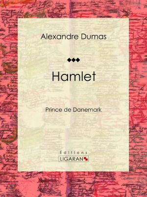 Cover of the book Hamlet by Prosper Menière, Ligaran
