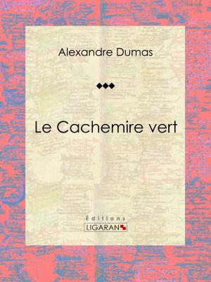 Book cover of Le Cachemire vert