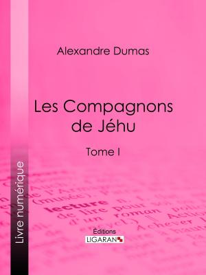 Cover of the book Les Compagnons de Jéhu by Emile Verhaeren