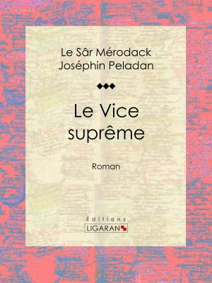 Cover of the book Le Vice suprême by Edwige Wilson