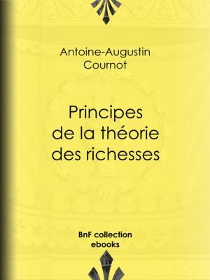 Cover of the book Principes de la théorie des richesses by Alexandre Dumas Fils