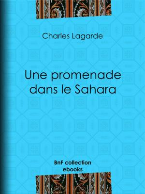 Book cover of Une promenade dans le Sahara