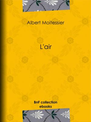 Cover of the book L'air by Édouard Montagne