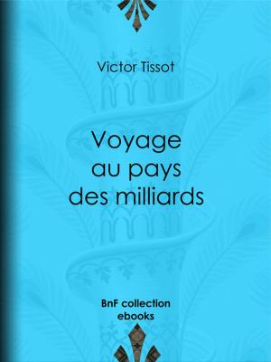 Cover of the book Voyage au pays des milliards by Paul Féval