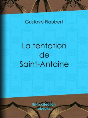 Book cover of La tentation de Saint Antoine