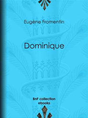 Cover of the book Dominique by Jules Barthélemy-Saint-Hilaire