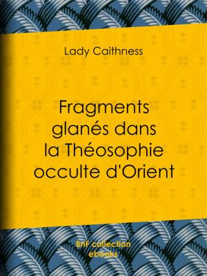 Cover of the book Fragments glanés dans la Théosophie occulte d'Orient by Anatole France