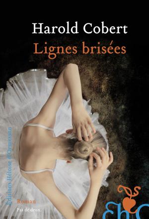 Cover of the book Lignes brisées by Maelle Guillaud