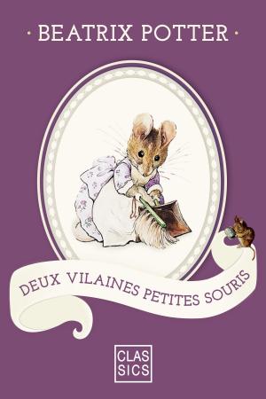 Cover of the book Deux vilaines petites souris by Gustave Le Rouge