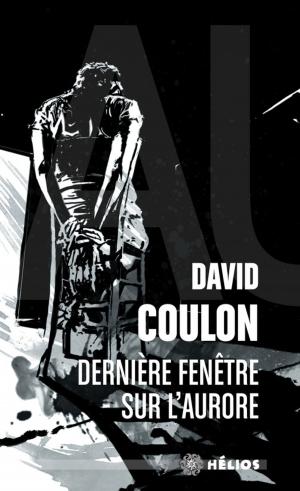 Cover of the book Dernière fenêtre sur l'aurore by Karim Berrouka