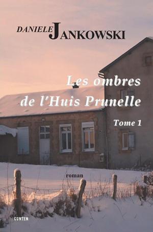 Cover of the book Les ombres de l'Huis Prunelle - Tome 1 by Yves Couturier