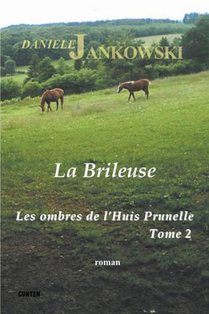 Cover of the book Les ombres de l'Huis Prunelle - Tome 2 by Danièle Jankowski