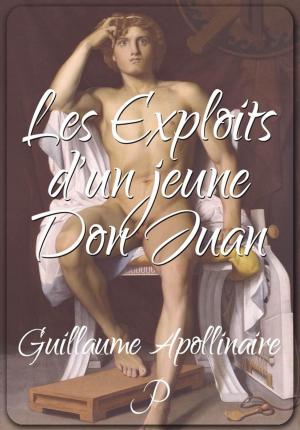 Book cover of Les Exploits d'un jeune Don Juan