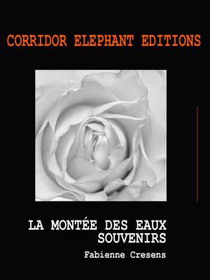 Cover of the book La montée des eaux - Souvenirs by Hudson Rodrigues