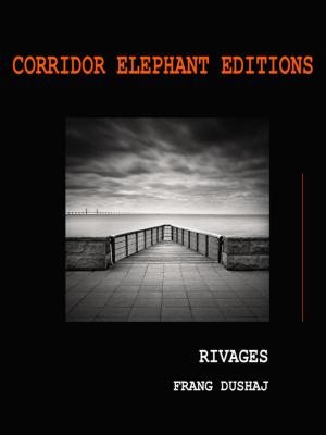 Cover of the book Rivages by Alain Burosse