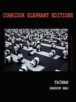 Cover of the book Taïwan by Raphaël Blasselle