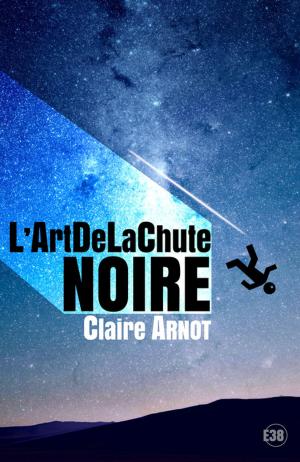 Cover of the book L'ArtDeLaChute Noire by Jocelyne Godard