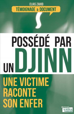 Cover of the book Possédé par un djinn by Chantal Bauwens, La Boîte à Pandore