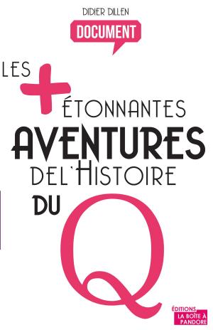 Cover of the book Les plus étonnantes aventures de l'histoire du Q by John Loeff
