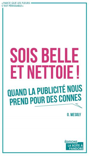 Cover of the book Sois belle et nettoie ! by Bruno de la Palme, La Boîte à Pandore