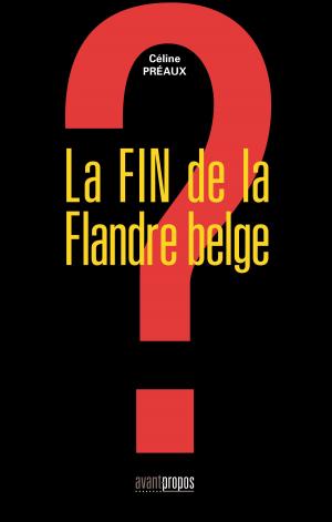 Cover of the book La fin de la Flandre belge by Patrick Weber