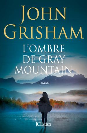 Cover of the book L'ombre de Gray Mountain by J.C. Hutchins